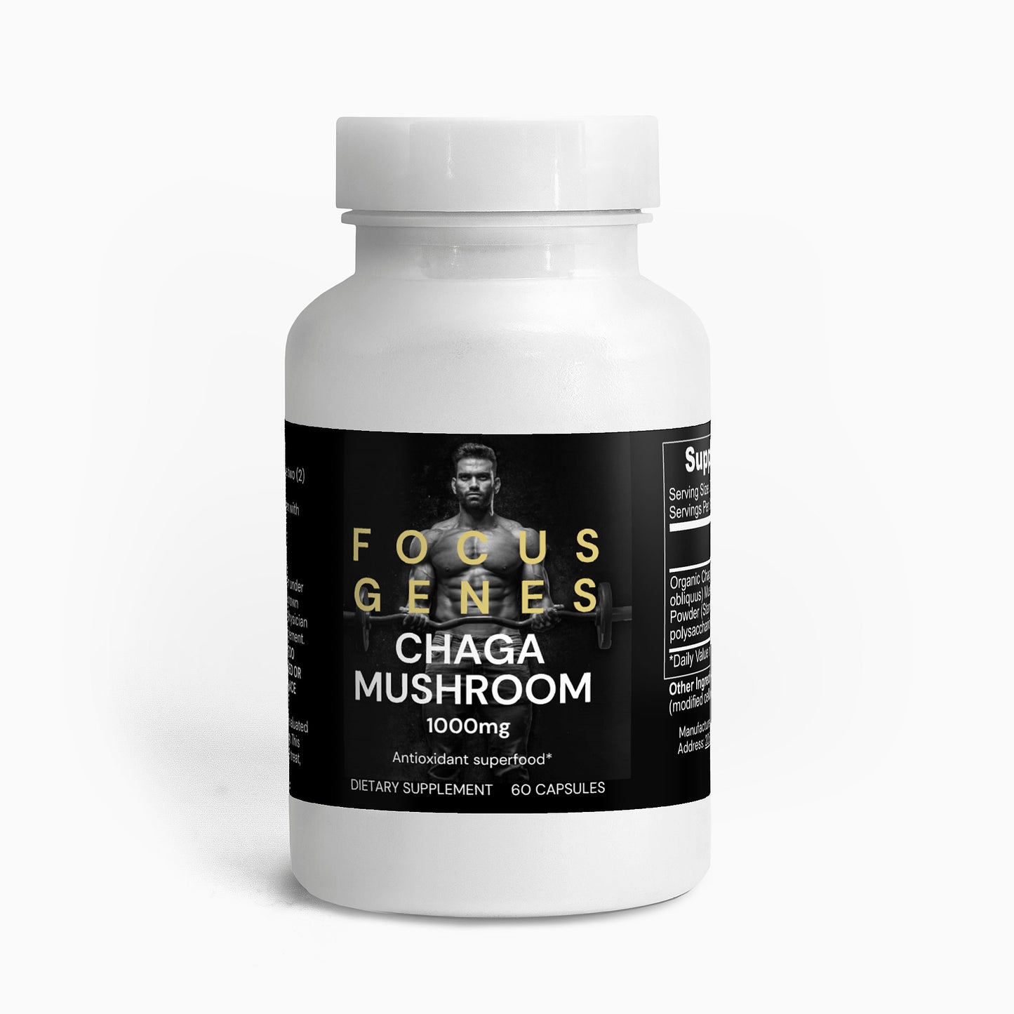 Chaga Mushroom